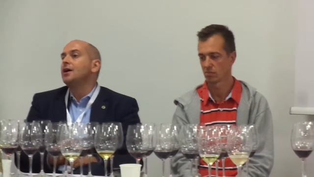Andrea Gori presenta i vignaioli FIVI a Taormina Gourmet parte 1 смотреть онлайн