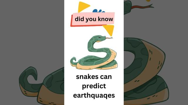 A snake can detect earthquaqes#shorts смотреть онлайн