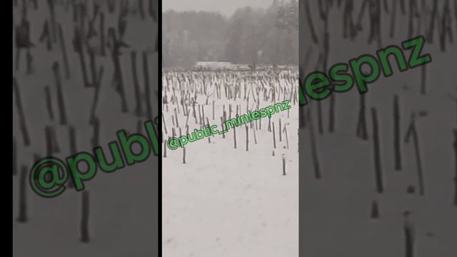 косули смотреть онлайн