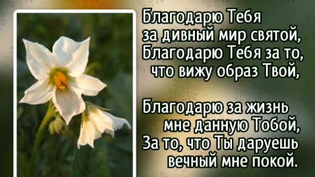 О, мой Господь, я весь в грехах. смотреть онлайн