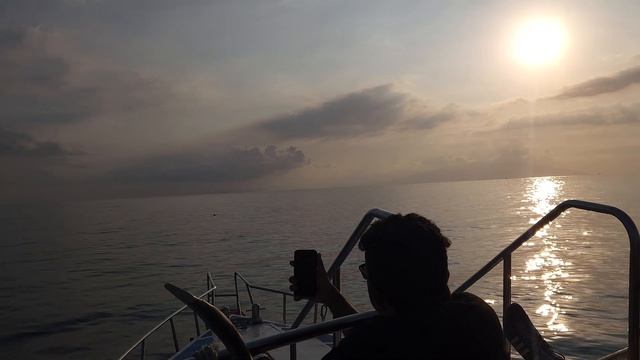 4K Охота на дельфинов / на яхте между островами / Dolphin hunting / Влог / VLOG #travel #bali #vlo смотреть онлайн