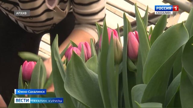 "Вести. Сахалин. Курилы". 18 января 2025 года смотреть онлайн