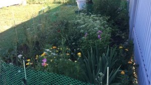 Композитные колышки в саду За или Против