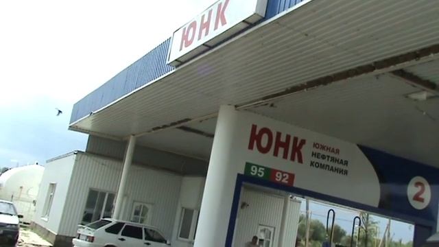 стрижи облюбовали автозаправку