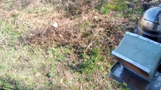 Почему нет люков в пчелопавильоне смотреть онлайн