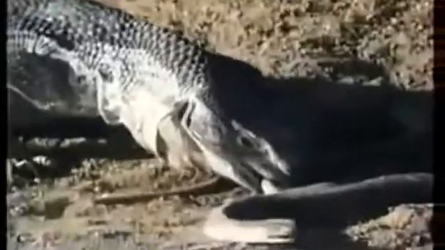 то кого еще не видели смотреть онлайн
