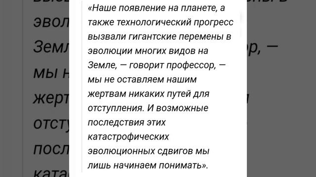 Кокако смотреть онлайн