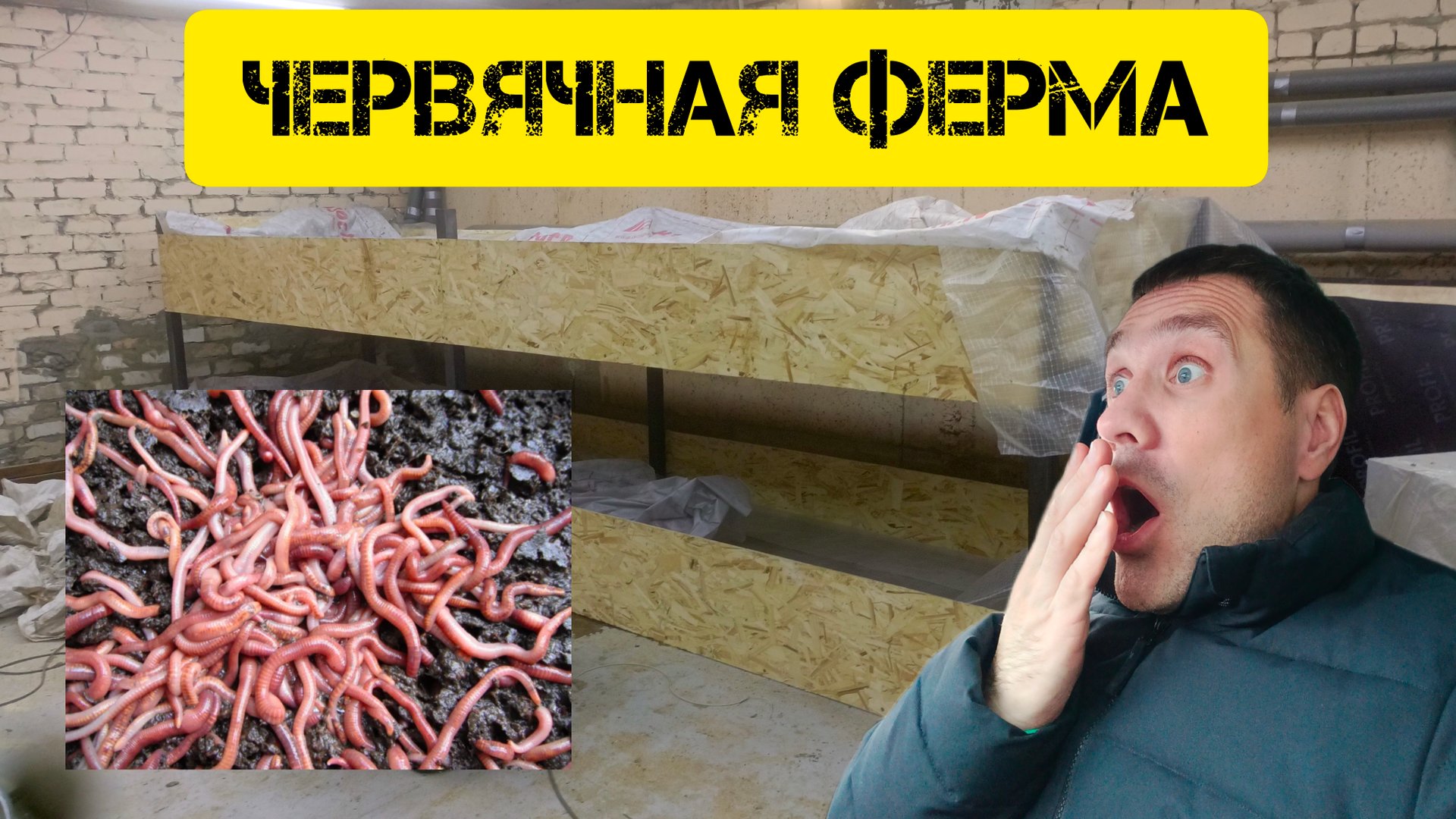 Червячная ферма. Проверяем у поставщика червей, червя😁 смотреть онлайн