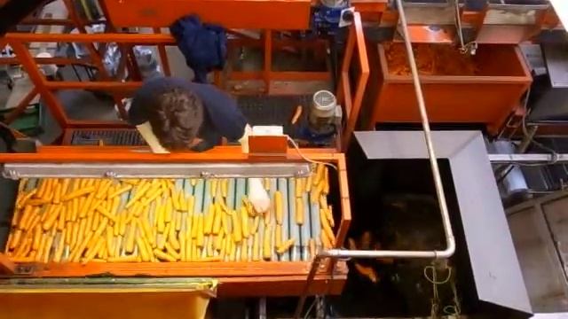 Инспекционный стол Ekko