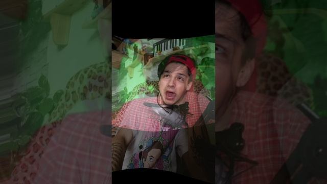 ❤ смотреть онлайн