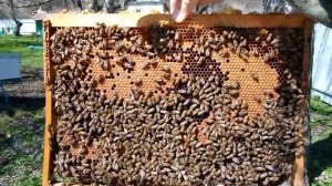 Весеннее развитие в ППС