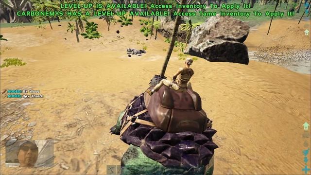 ARK SURVIVAL EVOLVED, #06 Taming Carbonemys, Day 2 смотреть онлайн