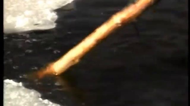 Otter Trapping Techniques Focus on Trapping смотреть онлайн