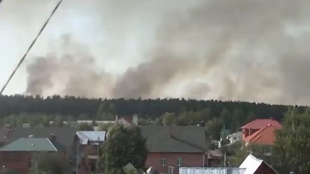 Пожар в лесу смотреть онлайн