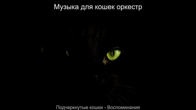 Звуки (Котята)