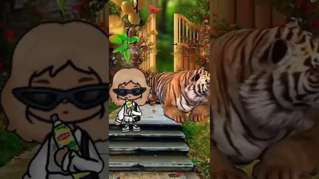 Хватит ласкать я серовно липтон не дам Тока Бока ❤️