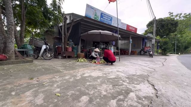 Single mother harvests corn, gets into trouble. The kind man helped , Lý Tử Tiêu смотреть онлайн
