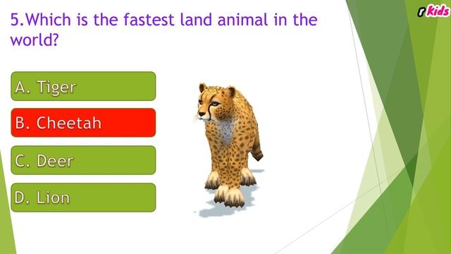 #1 Animal Quiz For Kids | General Knowledge Questions And Answer | Quiz For Kids | #quizforkids