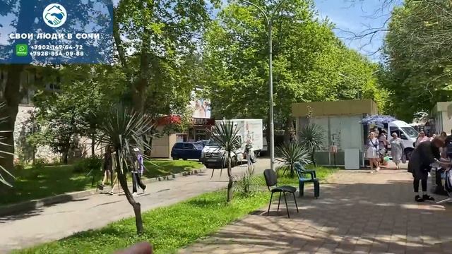 СВОИ ЛЮДИ В СОЧИ🌴