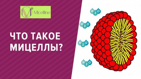 Что такое мицеллы