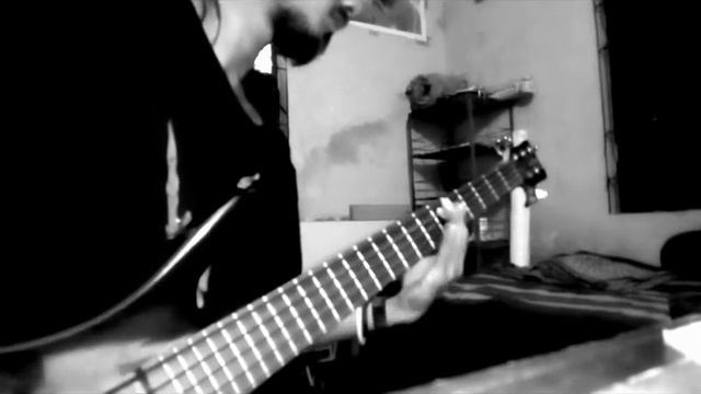 ora pro nobis lucifer - behemoth ( bass cover) смотреть онлайн