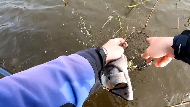 КІЛОГРАМОВІ КАРАСІ КЛАДУТЬ ПОПЛАВКИ І ГНУТЬ УДОЧКИ. Рибалка на поплавок смотреть онлайн