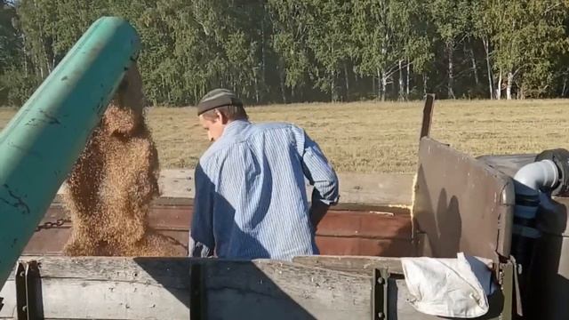 №44 Какую урожайность дала пшеница на 2-х полях? смотреть онлайн