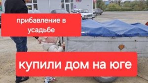 85//Купили старый дом на юге. Пополнение в нашей усадьбе. Мы Их привезли наконец.