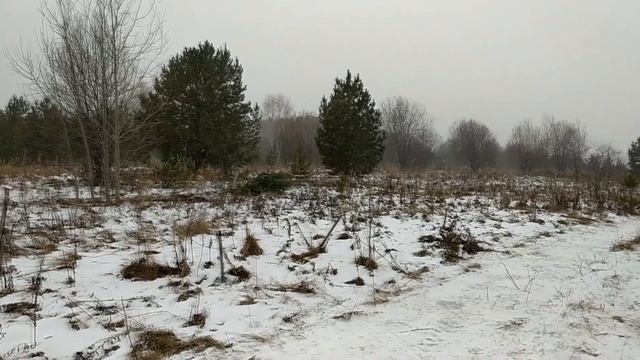 Электричество в Родовом селении Жива - продолжение смотреть онлайн