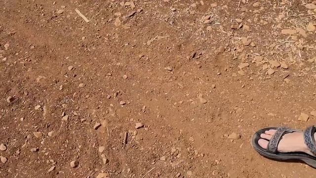 Израиль ТАК НИКТО НЕ ДЕЛАЕТ смотреть онлайн