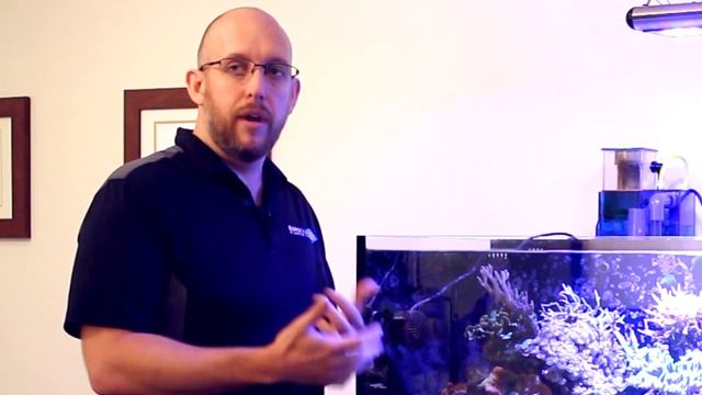 Meet the advanced and easy-to-use Euroquatics Angel LED Aquarium Lights смотреть онлайн