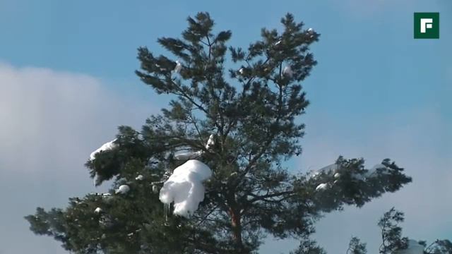 Уникальные технологии пассивного дома смотреть онлайн