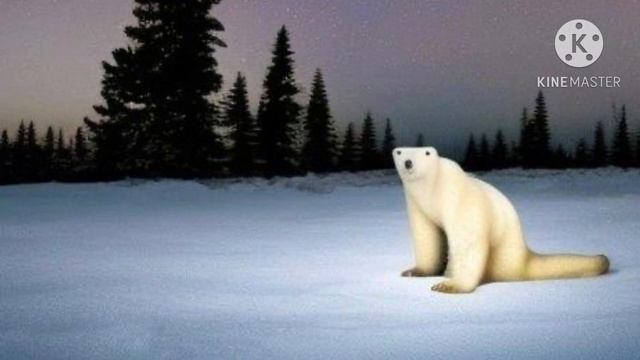 белый медведь 2026 смотреть онлайн