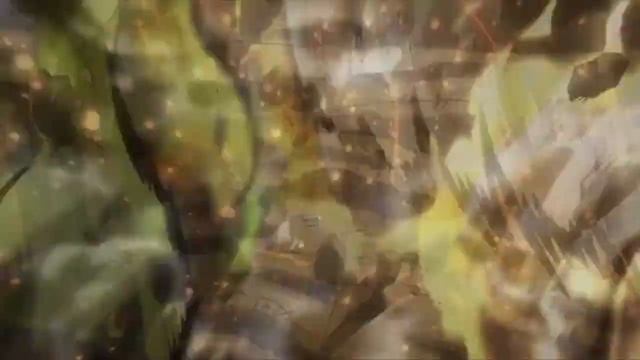 ORA ORA ORA vs MUDA MUDA MUDA 1 hours смотреть онлайн