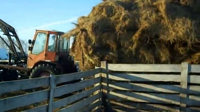 Технология заготовки сена: сегодня и вчера смотреть онлайн