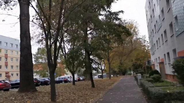 Осенний утренний привет вам🍁🍂🍁🍂😁! Горластые вороны🐧😂! С добрым утром ребята🍂🍂🍂😍 смотреть онлайн