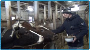 КО ВСЕМУ МОЖНО ПРИВЫКНУТЬ, НО ПОСТЕПЕННО, ЖИЗНЬ В ДЕРЕВНЕ