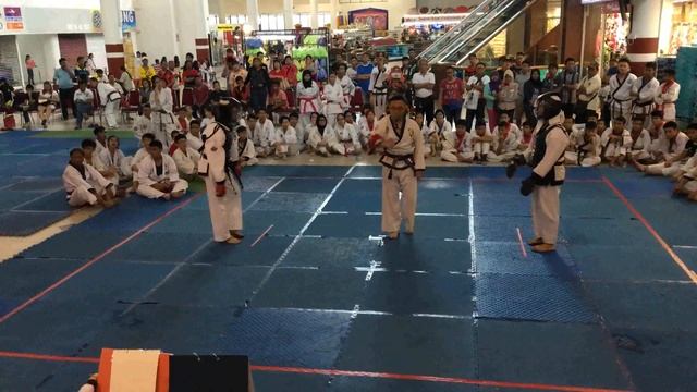 Tang Soo Do - Sheng Wey vs Filbert смотреть онлайн