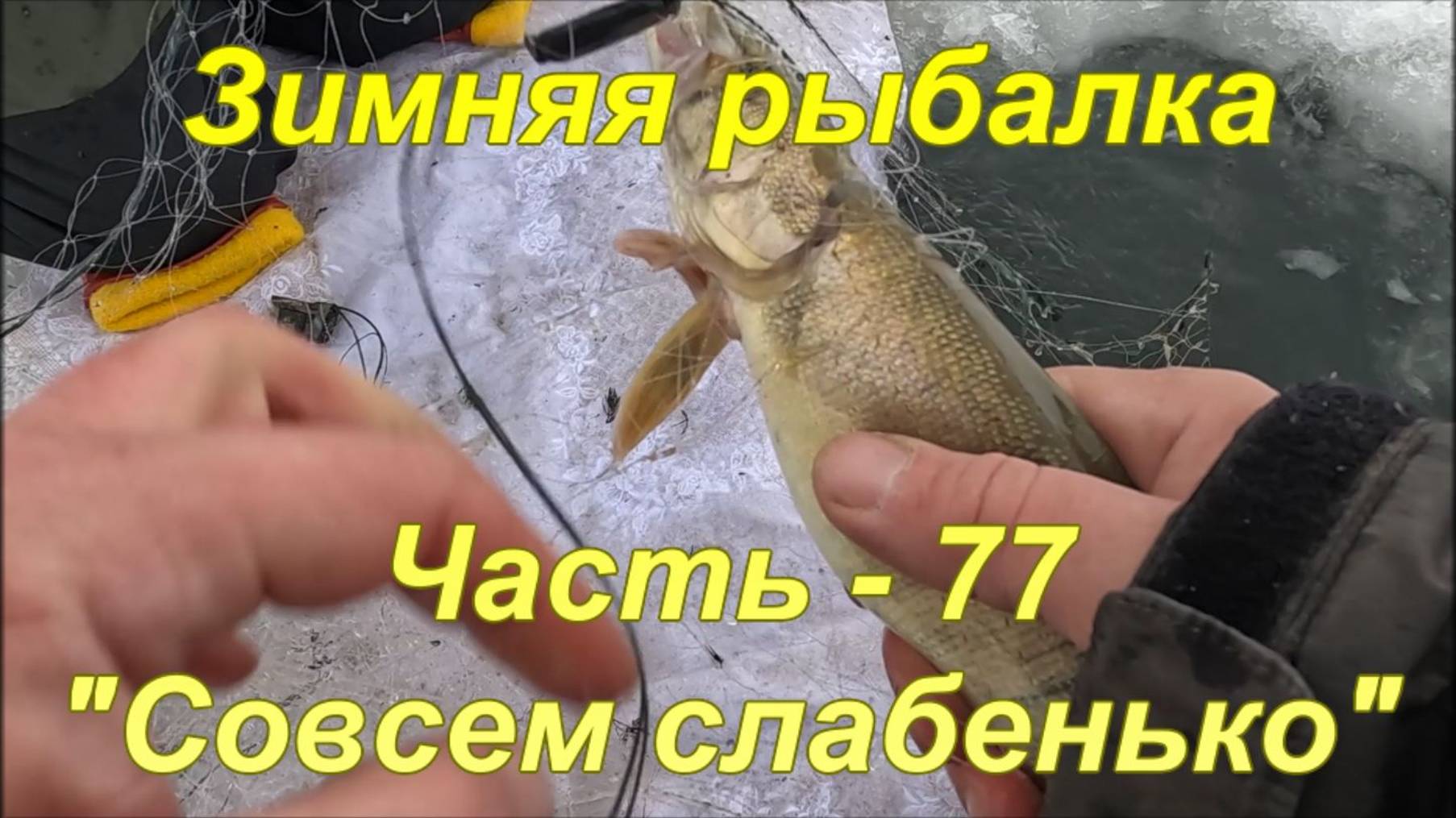 Зимняя рыбалка. Часть - 77. "Совсем слабенько". смотреть онлайн