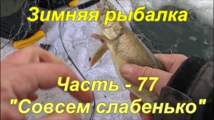 Зимняя рыбалка. Часть - 77. «Совсем слабенько».