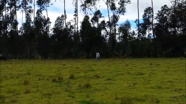 Terreno de venta en Cotogchoa, Amaguaña смотреть онлайн