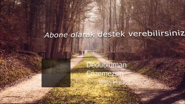 Dedublüman - Çözemezsin (Lyrics/Şarkı Sözleri)