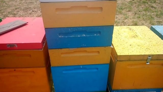 Подсадка маток - результат 99% смотреть онлайн