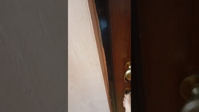 Однокомнатная квартира городок Металлургов смотреть онлайн