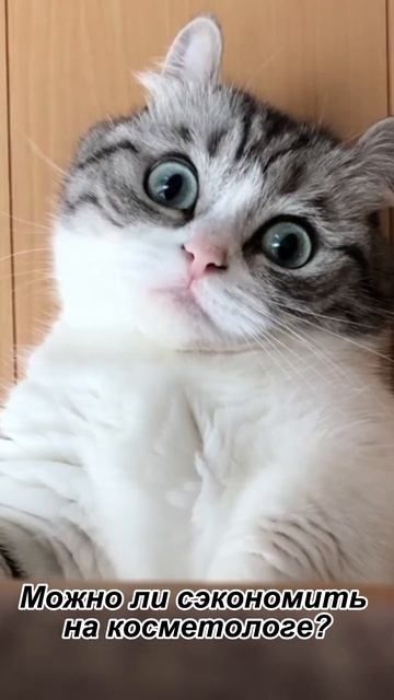 Экономите на косметологе? смотреть онлайн