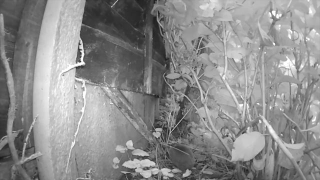 Netgear Arlo REVIEW - The Battery-powered Indoor/Outdoor Security Camera смотреть онлайн