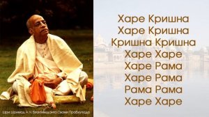 Харе Кришна Маха мантра  Джапа Медитация Шрила Прабхупада