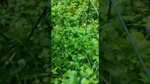 28 мая 2023 улица смотреть онлайн