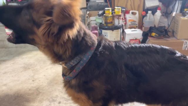 Arrow Headers w/ Akrapovic first start shooting flames | 2022 BMW S1000R смотреть онлайн