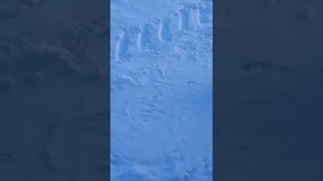 Угощаем гостей! смотреть онлайн